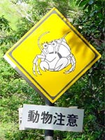 やどかり