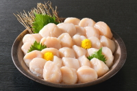 野付産ほたて貝柱・北海しまえびの通販 | 高木商店ネットショップ