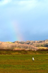 DSC_1086_1