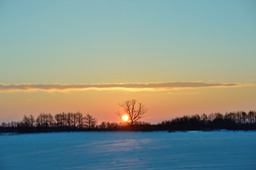 DSC_1727_1