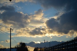 DSC_1956
