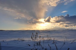 DSCF0484