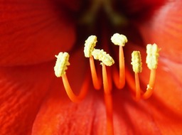 P5230080