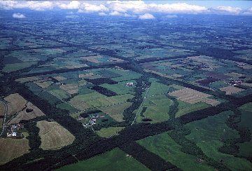 北海道遺産指定　格子状防風保安林