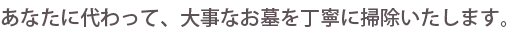 あなたに代わって、大事なお墓を丁寧に掃除いたします。