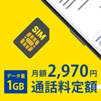 かけ放題プラン